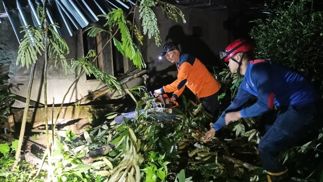 Hujan Deras Disertai Angin Kencang, Tiga Rumah dan Satu Kandang Kambing Rusak Tertimpa Pohon