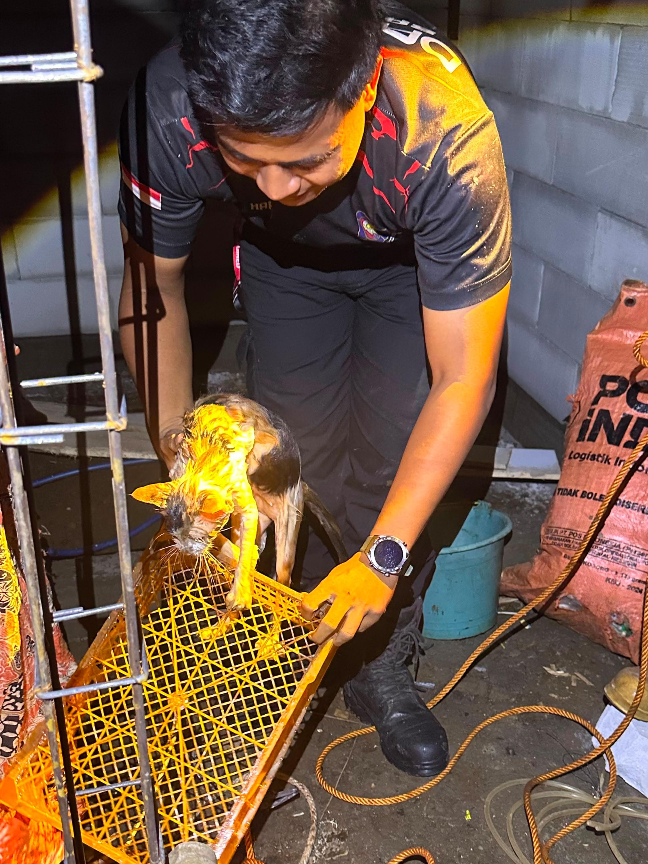 Damkar Selamatkan Kucing dari Sumur di Kedungbanteng Banyumas