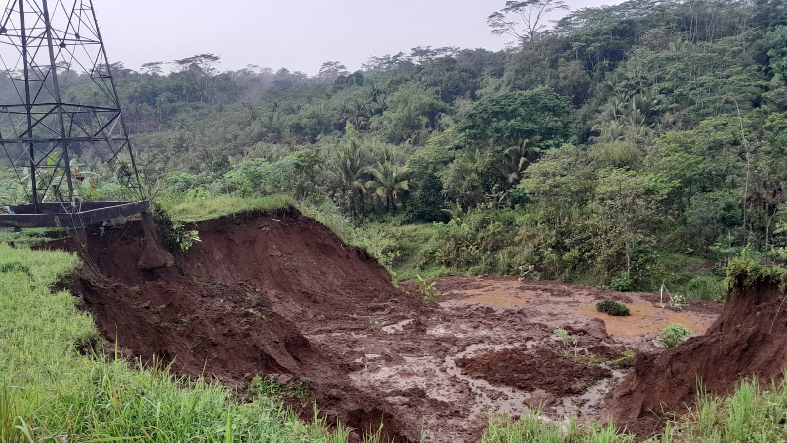 Saluran Transmisi di Karanggandu-Karangsari Terancam Roboh, PLN Cek Kondisi Lapangan 