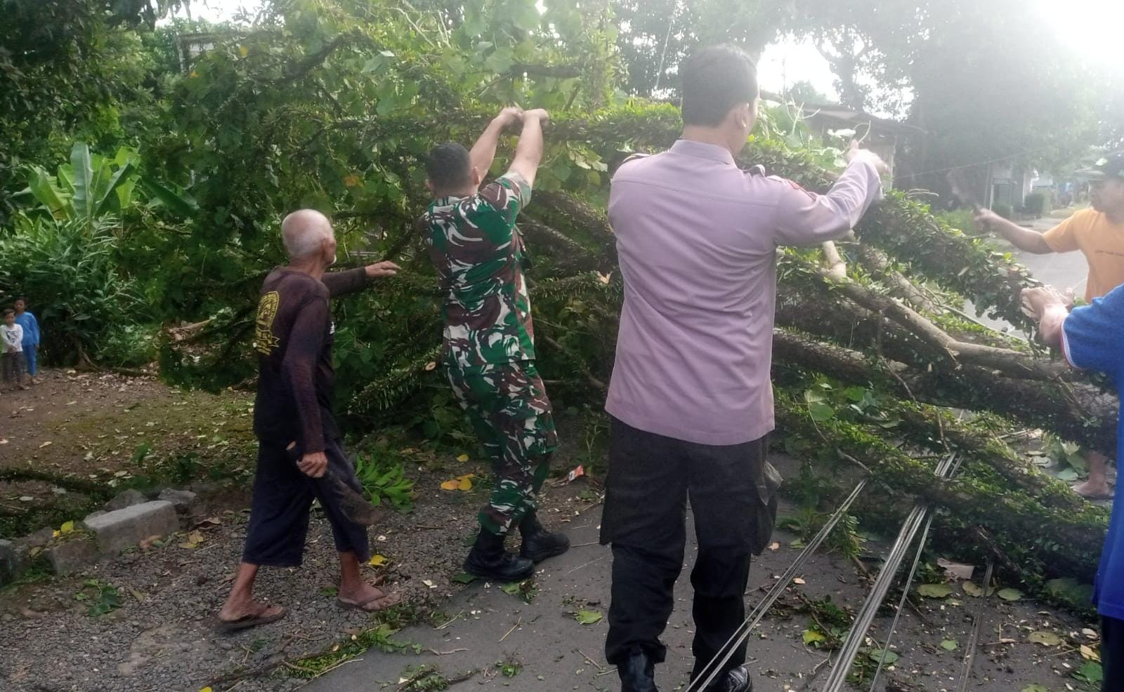 Angin Kencang di Desa Beji, Akibatkan Jalan Tertutup Pohon Tumbang