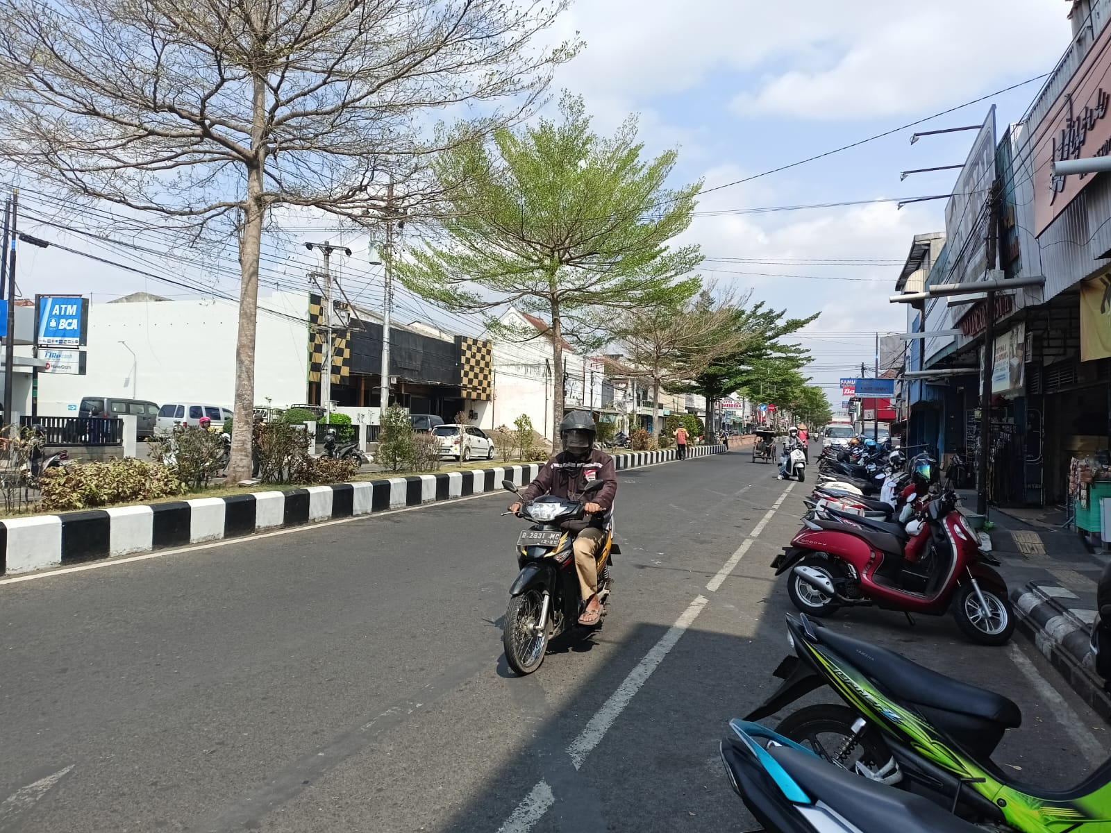 Penghujan Tiba, Penyiraman Tanaman Median Jalan Dihentikan