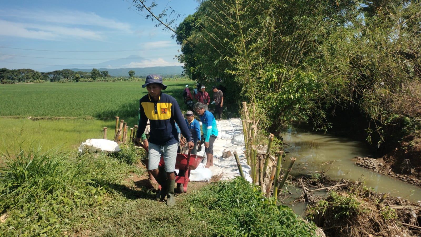 Tanggul Sungai Sengon Jebol, 60 Ubin Sawah Kuntili Gagal Tanam