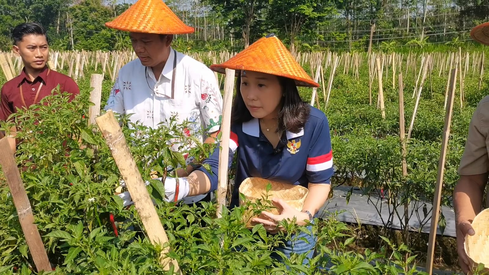 Serayu Network Banjarnegara Jadi Contoh Nasional Pemanfaatan Lahan dan Pemberdayaan Perempuan