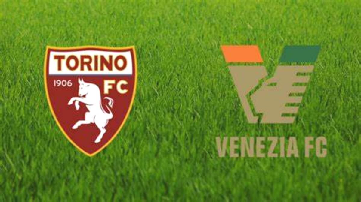 Hasil Liga Italia: Torina FC vs Vanezia FC Imbang 1:1