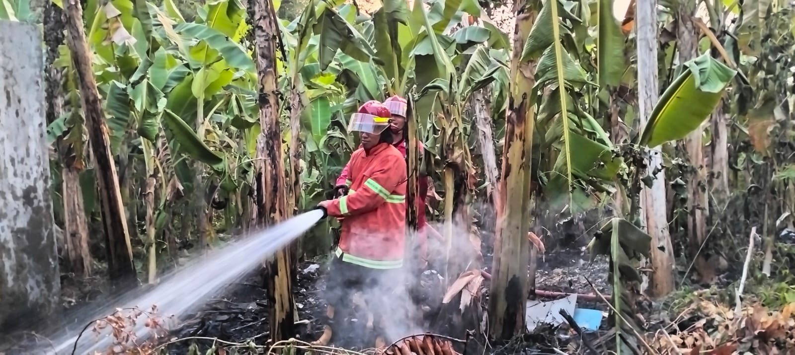 Kebakaran Lahan Kosong Kembali Terjadi di Cilacap, Kasus Kebakaran di Cilacap Terus Bertambah