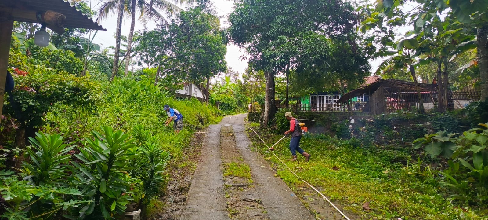 Sambut Ruwah, Warga Grenggeng Kebumen Bersih Makam Syekh Baribin