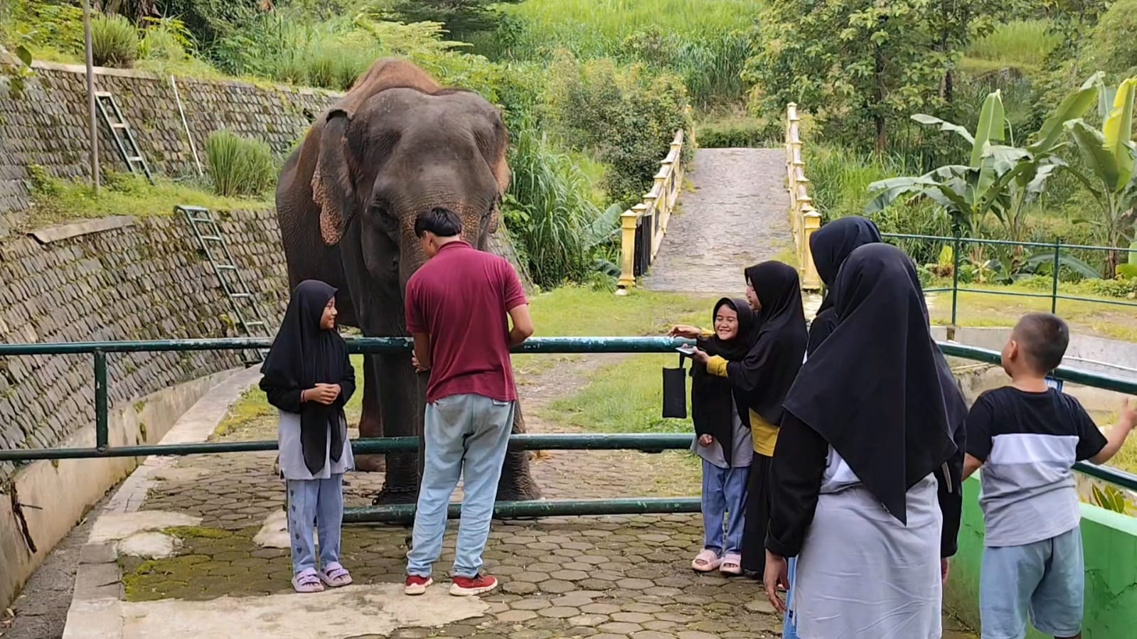 Taman Margasatwa Serulingmas Banjarnegara Dipadati Pengunjung, Liburan Berinteraksi dengan Hewan 