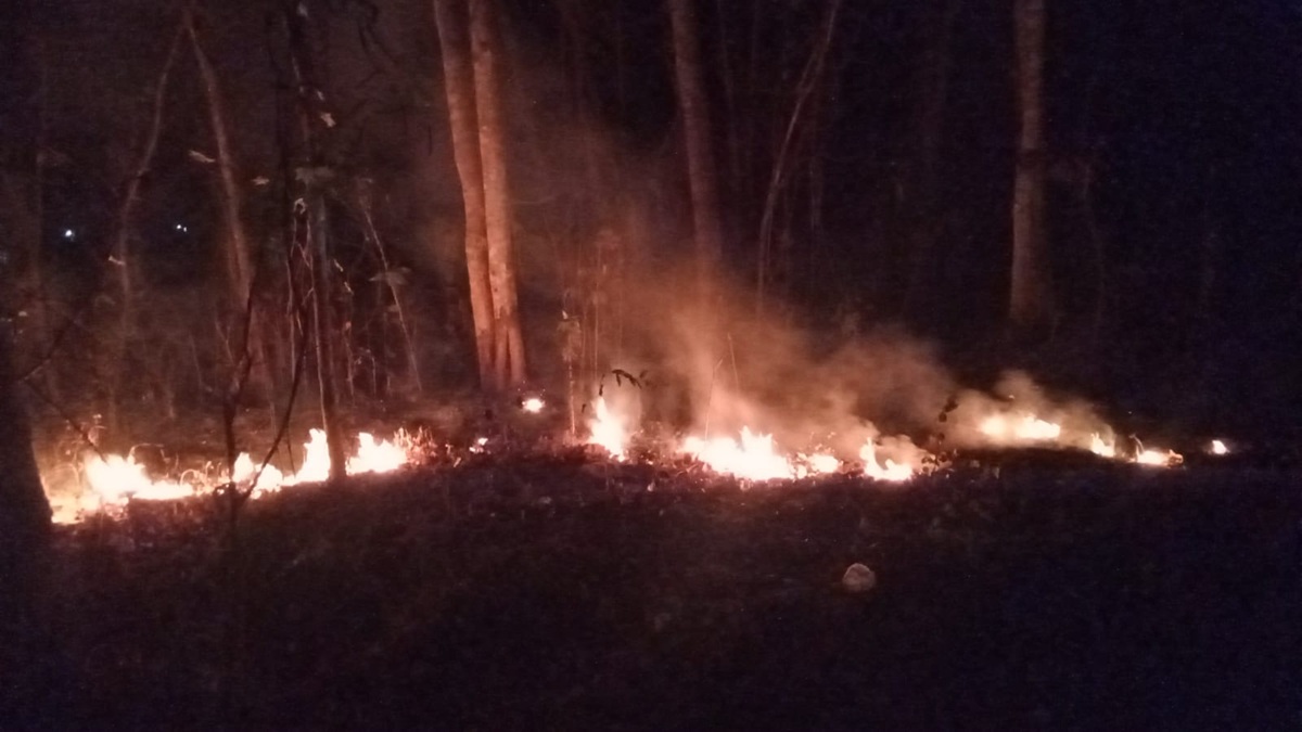 Puntung Rokok Picu Kebakaran Lahan di Pejagoan