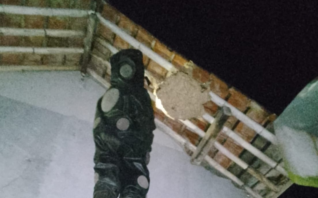 Sarang Tawon Vespa di Banyumas Disisir Damkar, Sembilan Titik Dilaporkan Warga