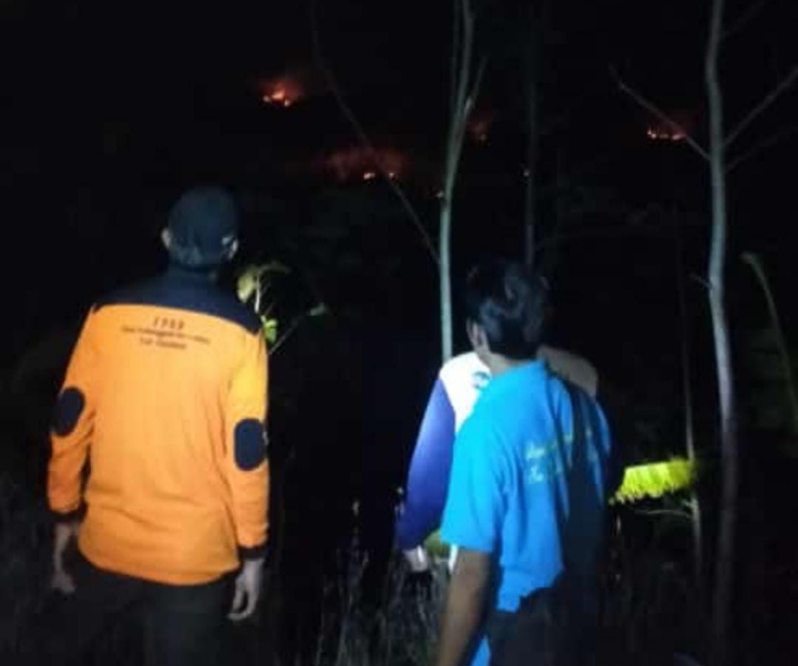 Kebun Jati Perhutani di Lumbir Banyumas Terbakar, Dapat Dipadamkan setelah 3 Jam