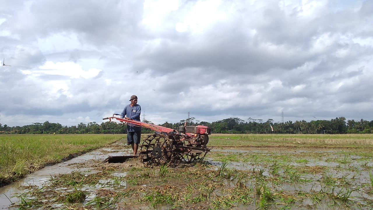 Pemilik Traktor Kebut Pengolahan Sawah