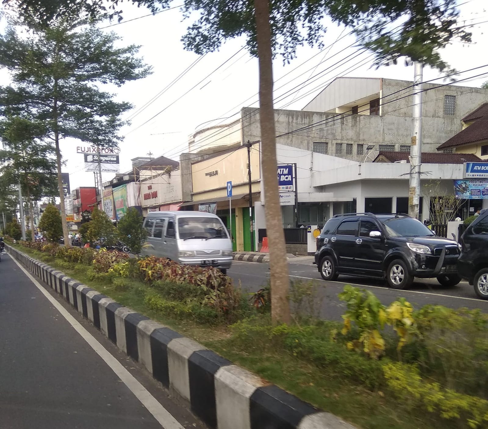 Rawan Rusak dan Mati, Penyiraman Tanaman di Jalan Minimal 2 Tangki Sehari