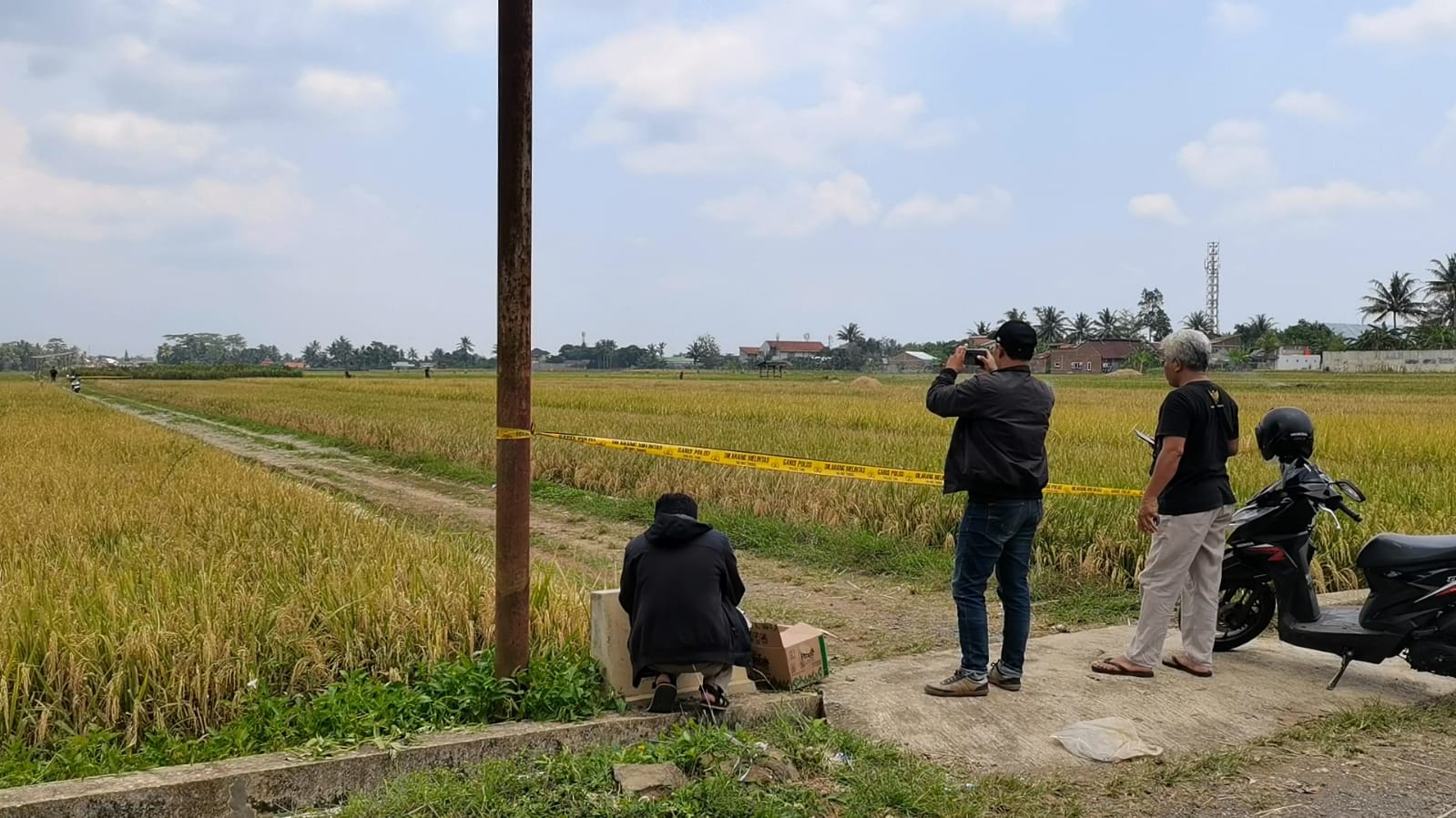 Penemuan Mayat Bersimbah Darah di Sawah Klampok Gegerkan Warga Banjarnegara