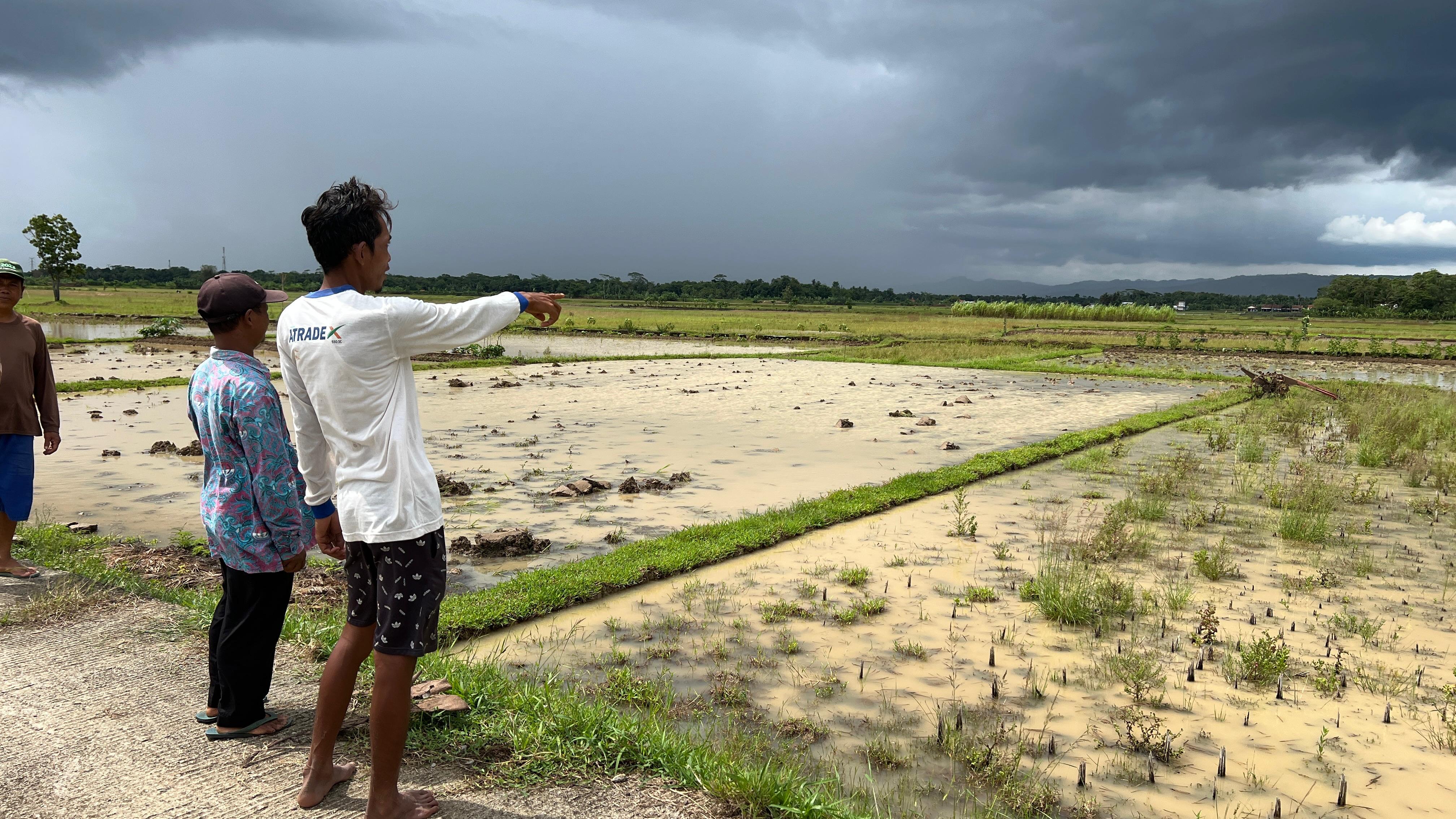 Ditinggal di Sawah, Mesin Traktor Poktan Raib 