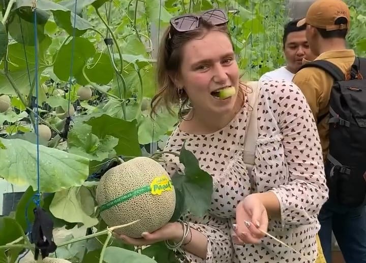 Manisnya Edukasi dan Ekonomi Warga Desa Pagak