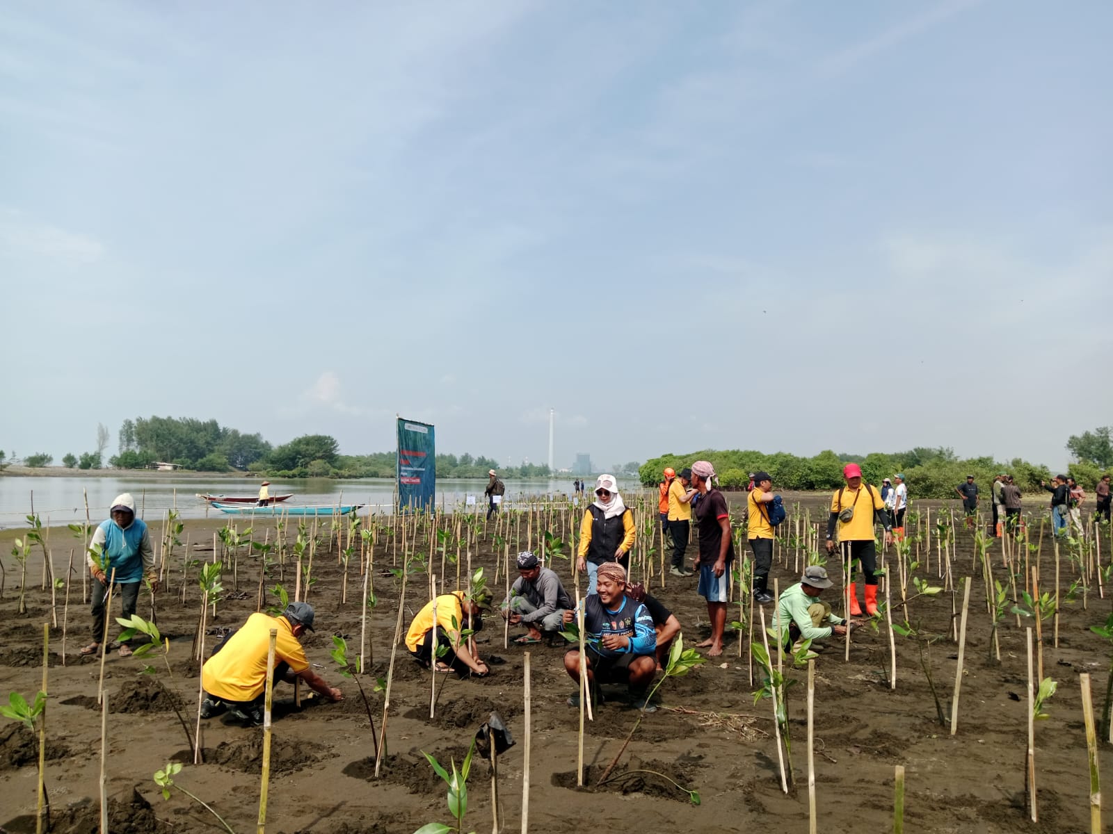 Ekosistem Mulai Berkurang, Mangrove Karangbenda Terancam