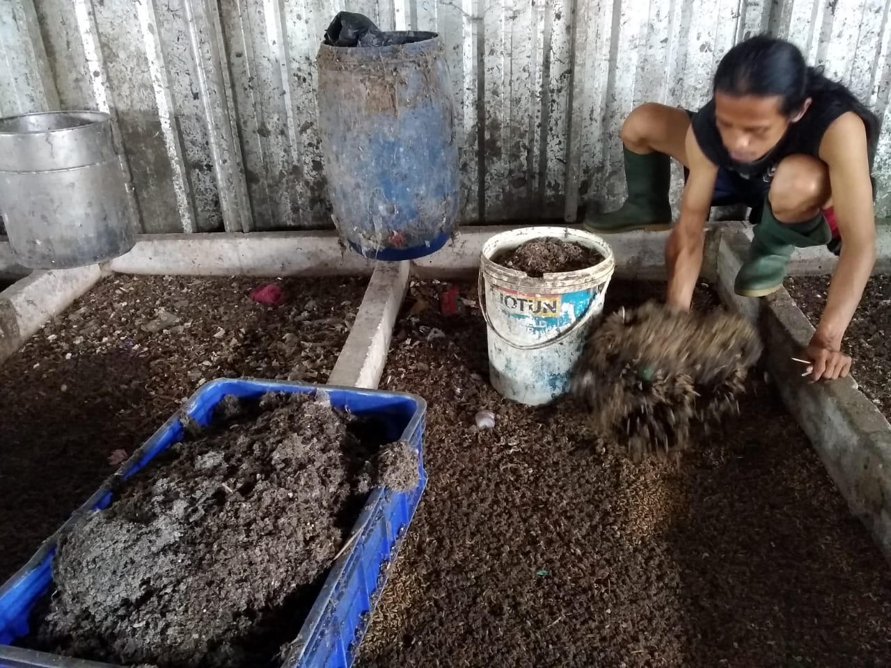 Cuaca Ekstrem, Peternak Magot TPST Pasrah