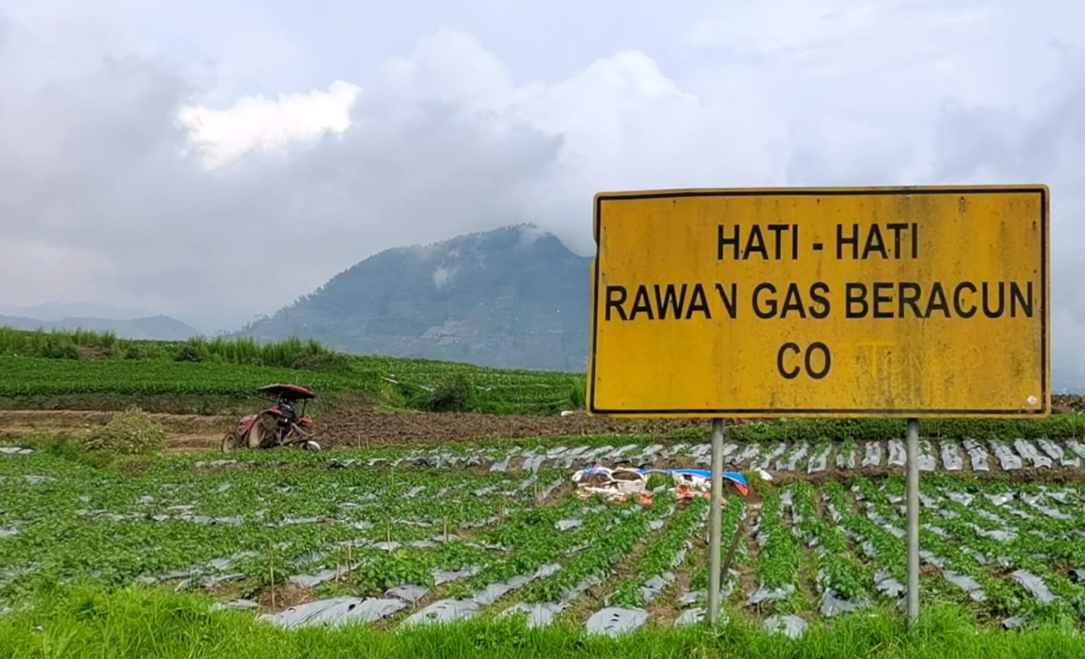 Gunung Api Dieng Lagi Bahaya, Petani Nekat Garap Lahan di Sekitar Kawah Sileri 