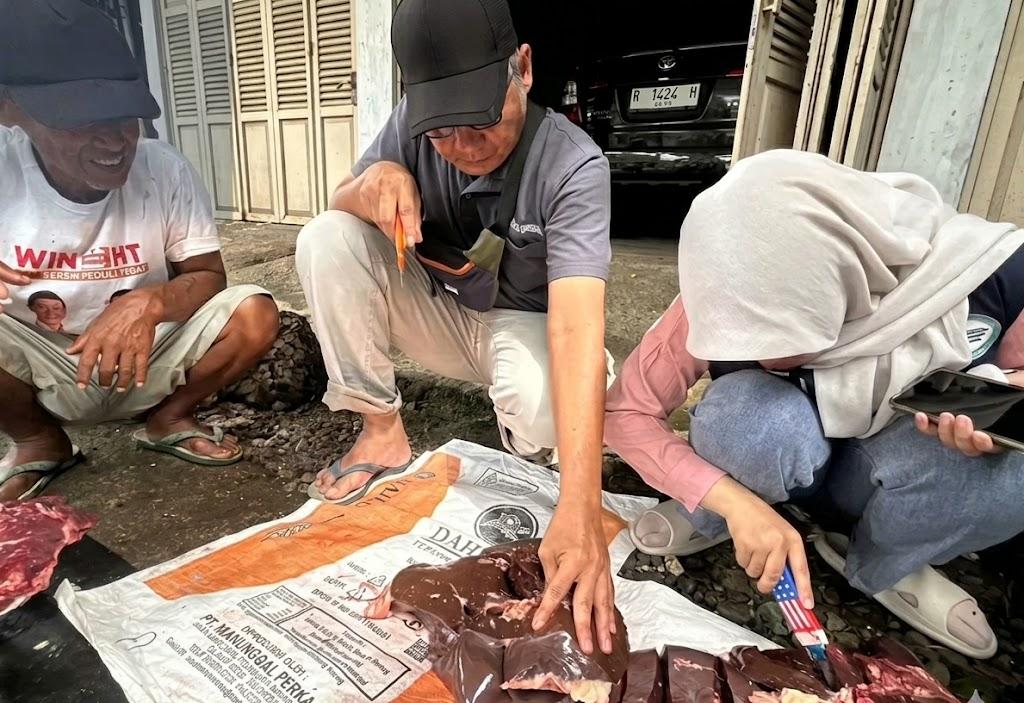 Distankan Banjarnegara Temukan 14 Kasus Cacing Hati pada Sapi Kurban