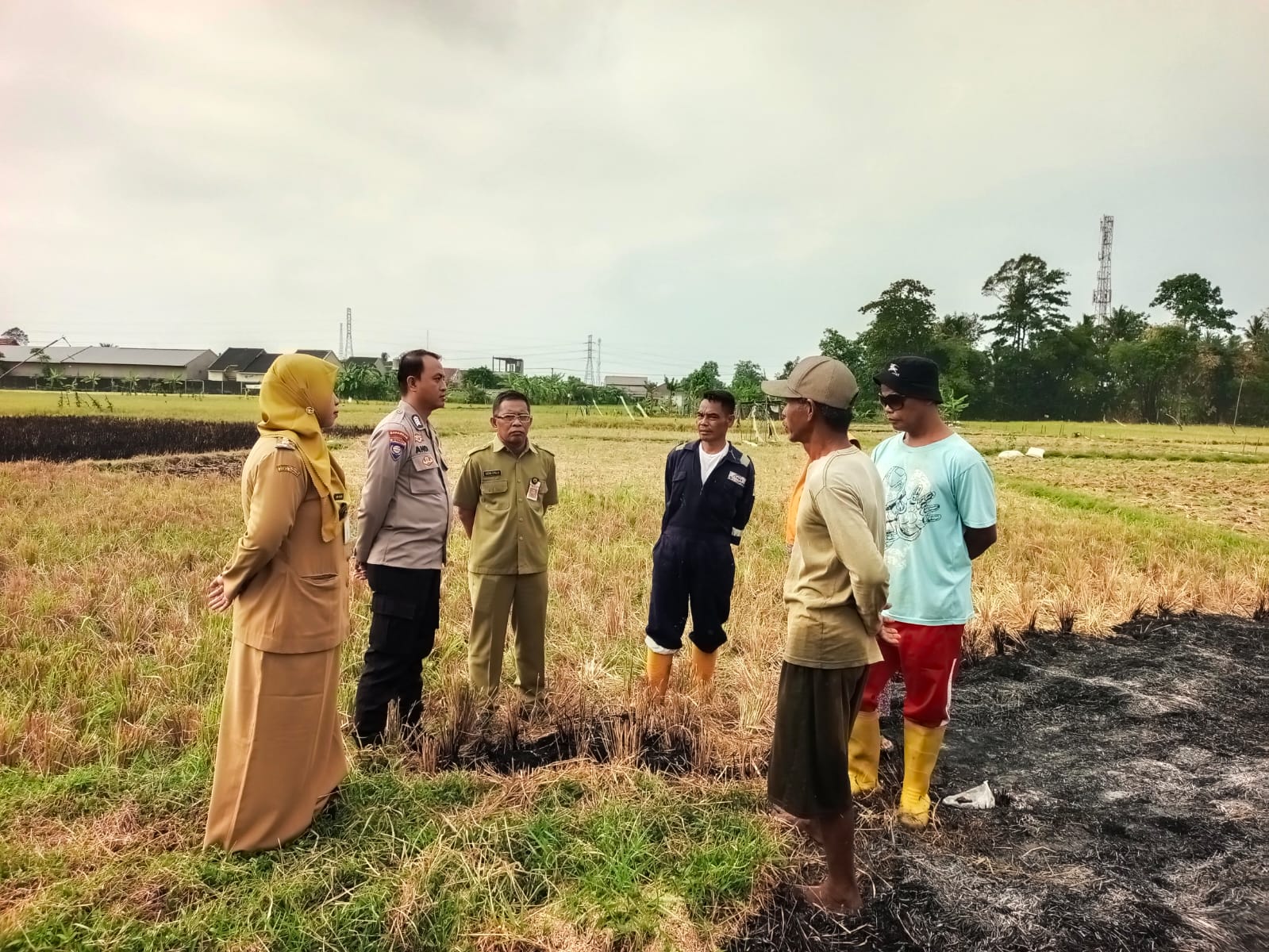 Musim Kemarau, Warga Cilacap Diingatkan Waspada Kebakaran Lahan