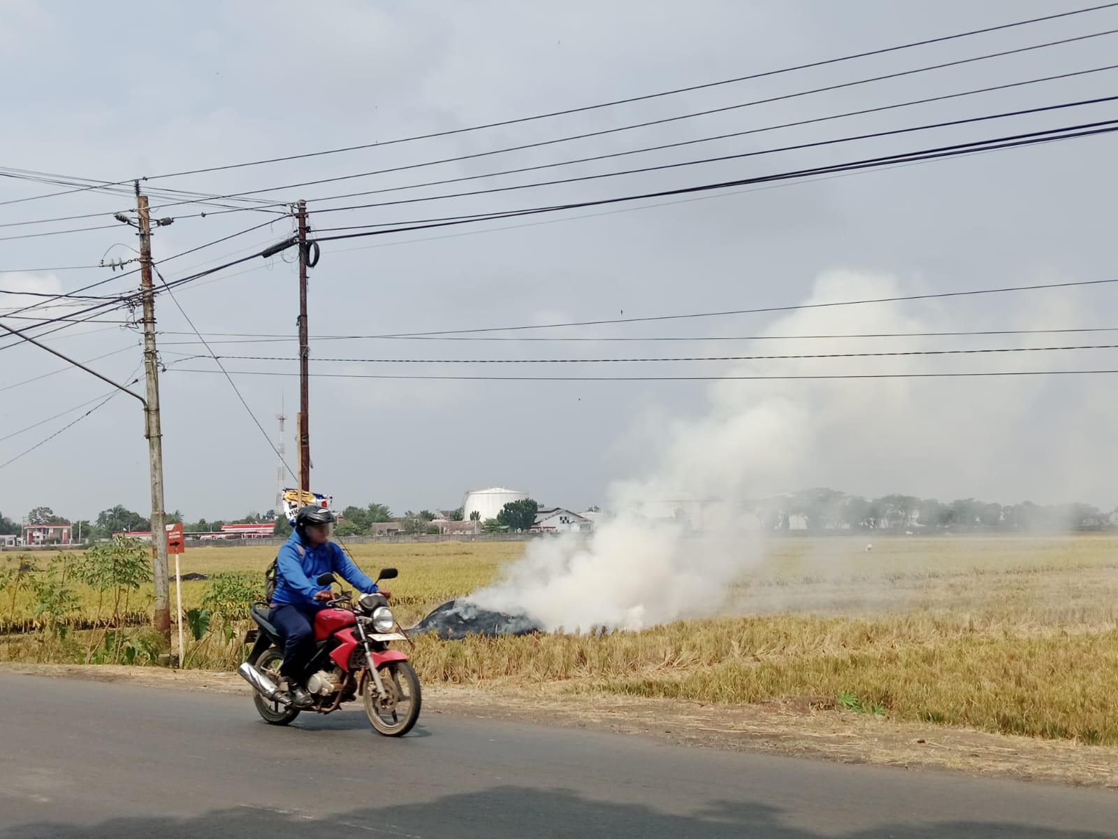 Kemarau Panjang, Warga Cilacap Diminta Cegah Kebakaran Lahan