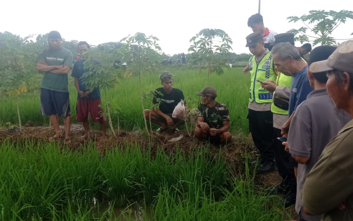 Buruh Tani Ditemukan Meninggal di Sawah Panican Purbalingga