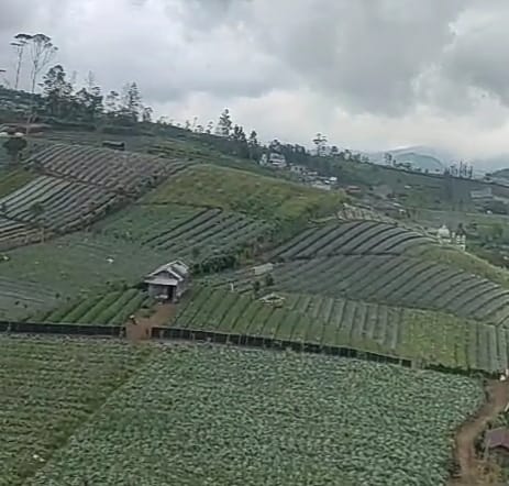 Wahana Paralayang Kutabawa Baru Siapkan Bangun Landasan