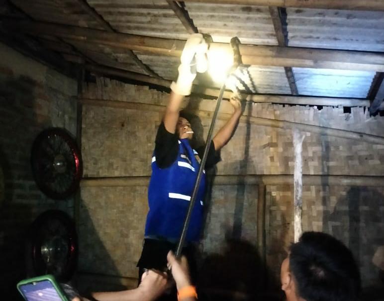 Ular Sanca Kembang Bersembunyi di Atap Dapur, Warga Karanganyar, Cilacap Lapor Damkar