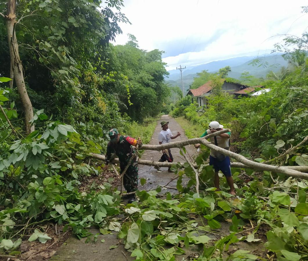 Pohon Tumbang di Cimanggu, Tutup Akses Jalan Hingga Putus Jaringan Listrik dan Internet