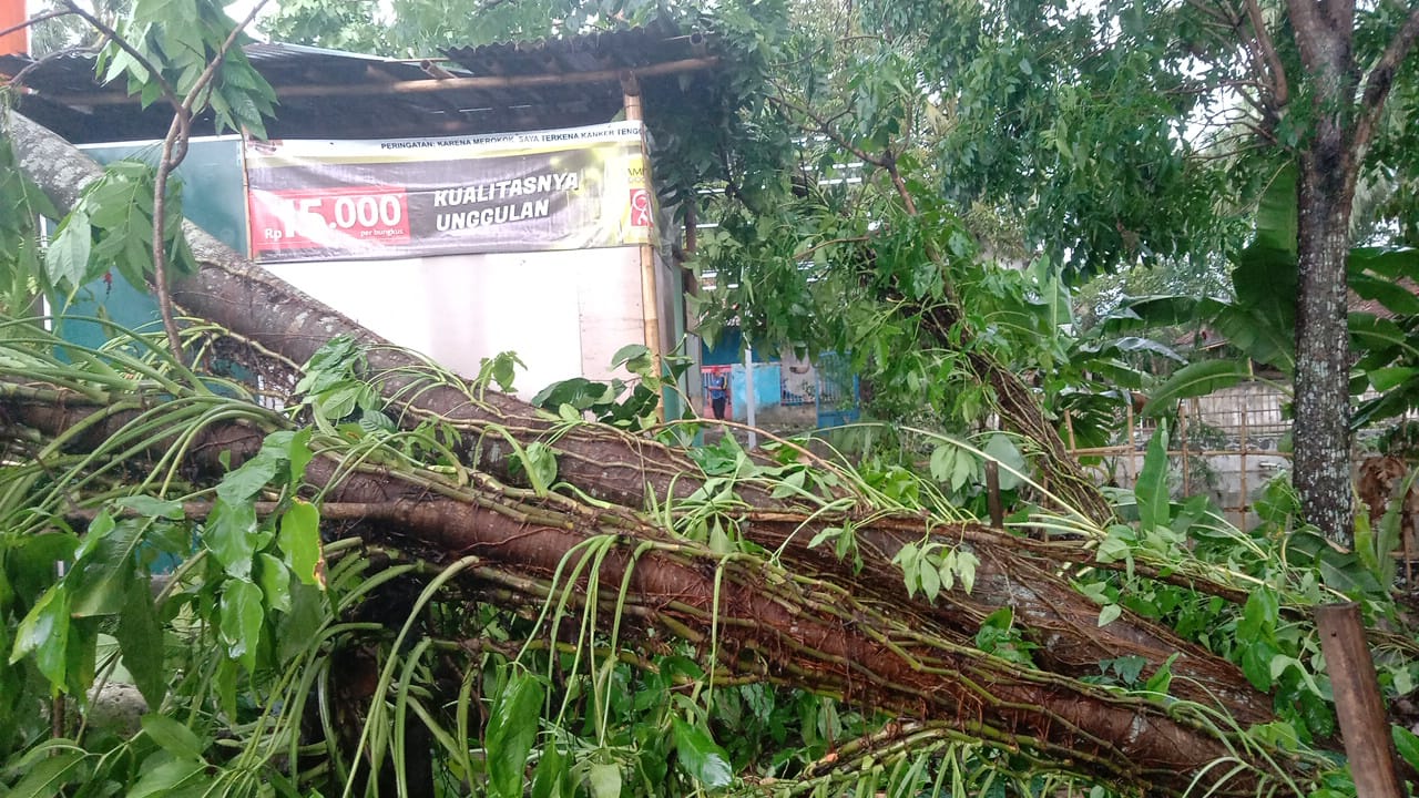 Dampak Angin Kencang Terjang Tiga Kecamatan di Banyumas, Puluhan Rumah Rusak dan Akses Jalan Sempat Terganggu