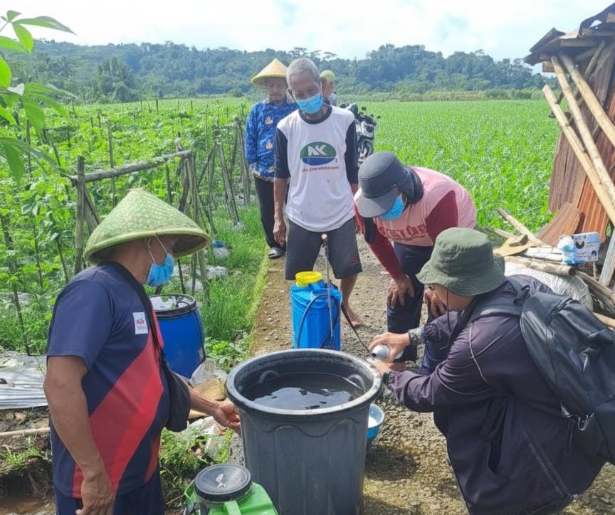 697 Hektare Jagung Terdampak OPT, Dinpertan Pastikan Kondisi Masih Terkendali