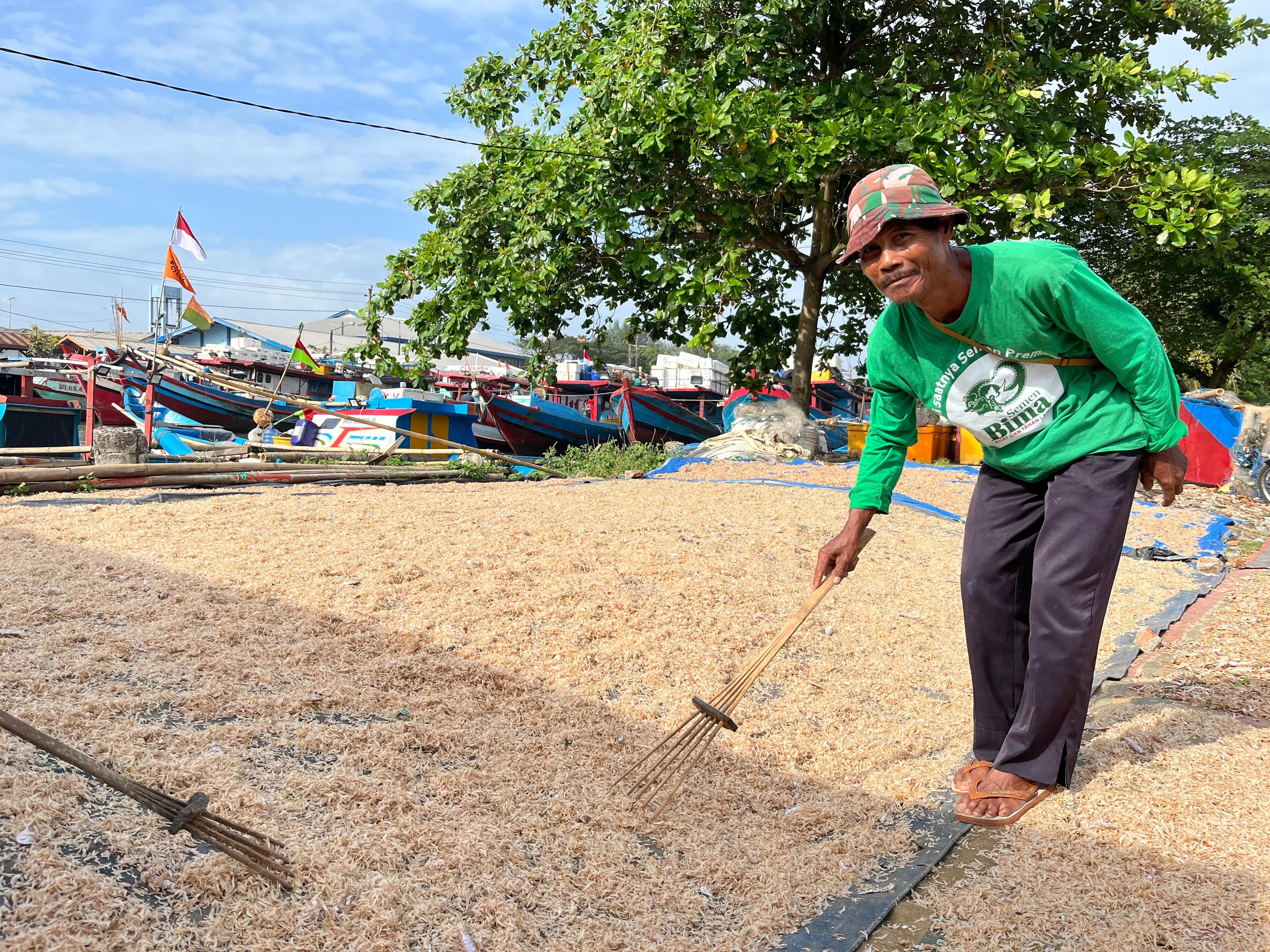 Panen Melimpah, Nelayan Cilacap Kebanjiran Udang Rebon