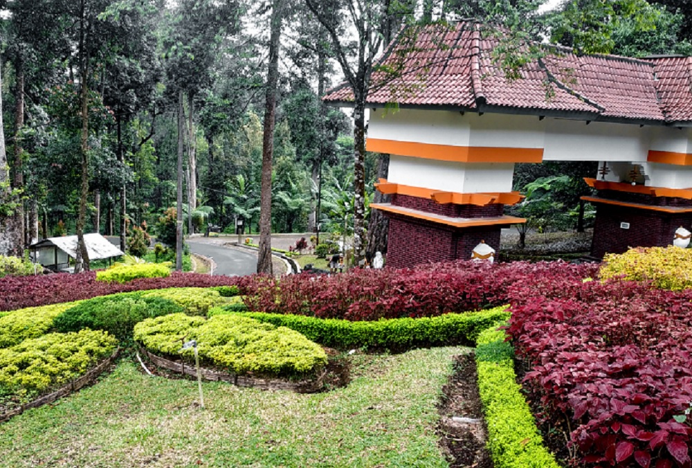 Hobi Fotografi? Panorama Hijau di Kebun Raya Baturraden Bisa Jadi Spot Terbaik