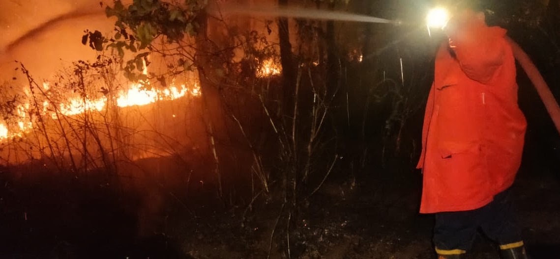 Karhutla Banyumas Tembus 59 Kejadian, Luas Lahan Terbakar Capai 55,5 Hektare