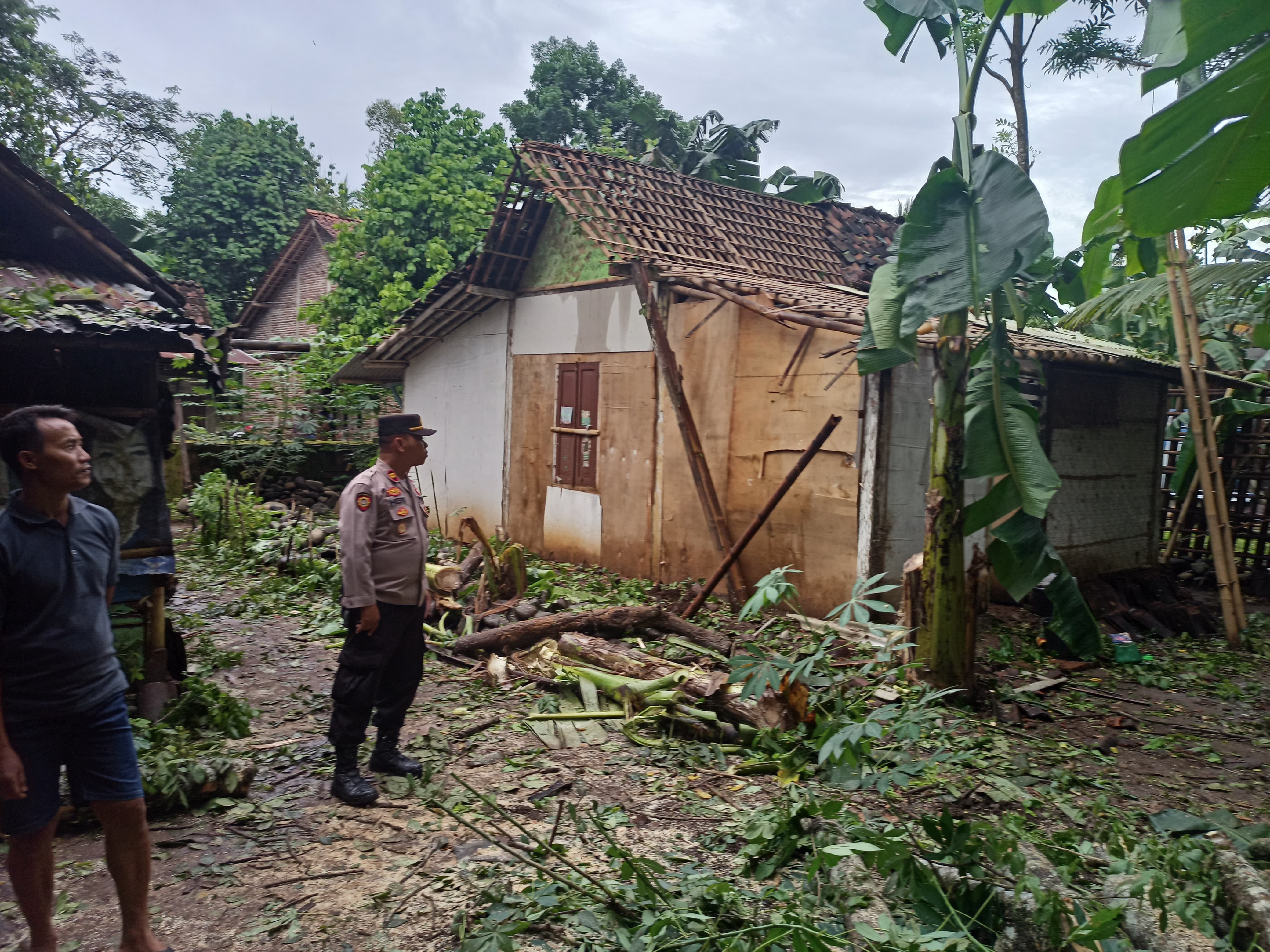 Hujan Disertai Angin Kencang di Kemangkon, Pohon Tumbang dan Timpa Rumah