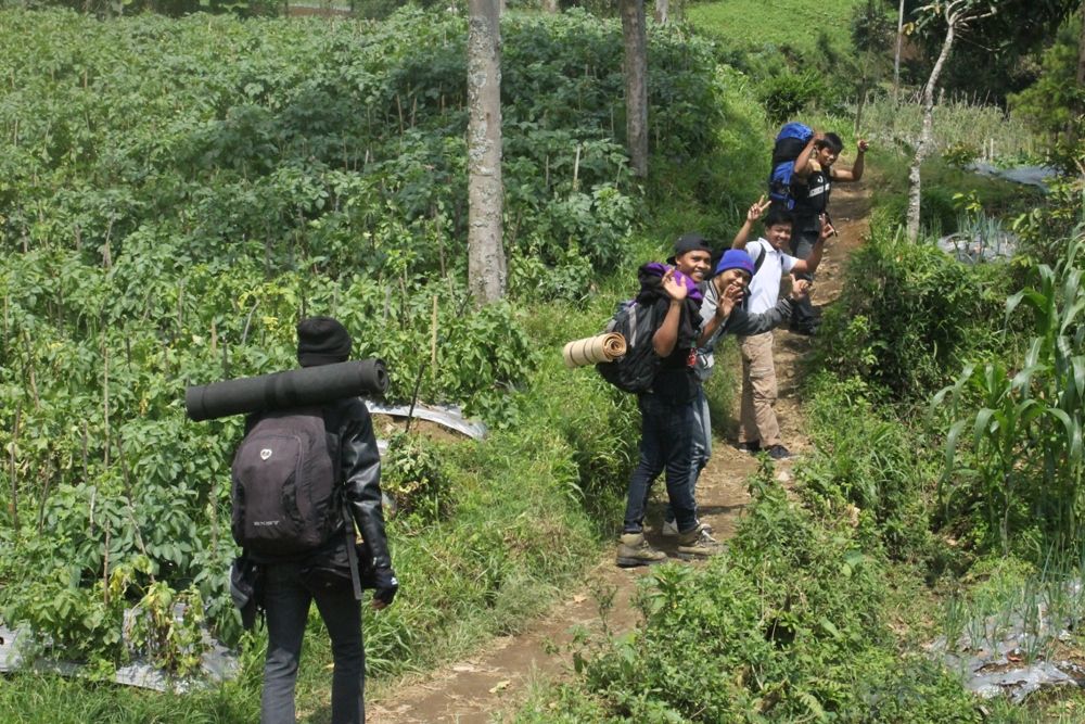 Pendakian Tektok Gunung Slamet Via Pos Bambangan Dilarang, Pendaki Biasa Naik 200 Orang Per Hari