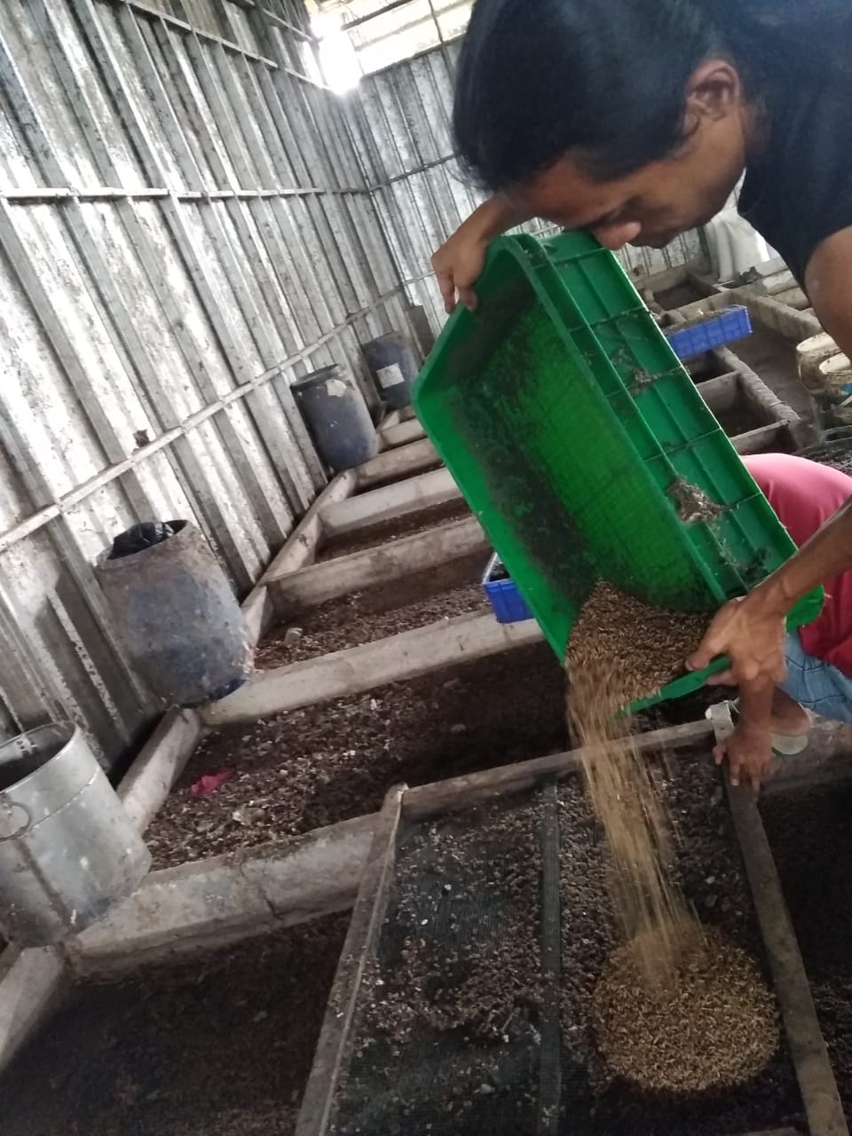  Serap Semua Bubur Sampah Tiap Hari, Butuh 200 Biopond