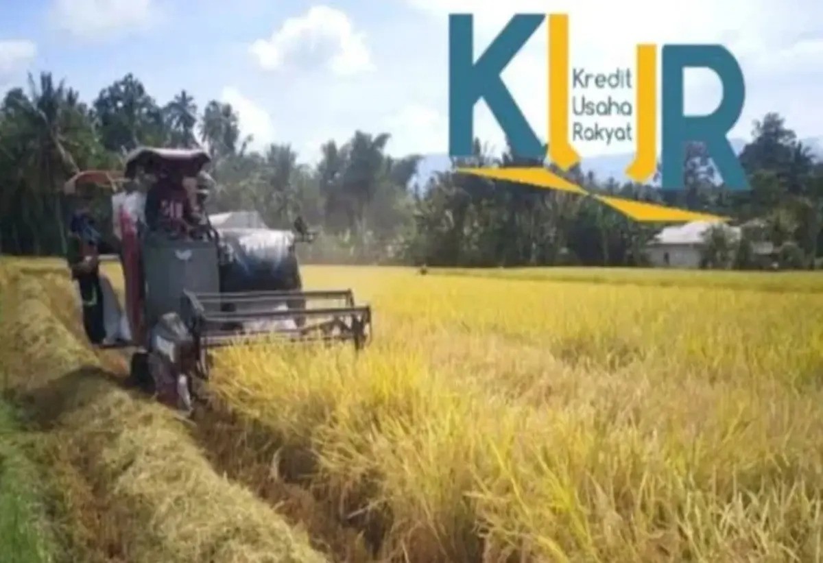 KUR BRI 2025 untuk Sektor Pertanian Resmi Dibuka, Begini Cara Pengajuannya