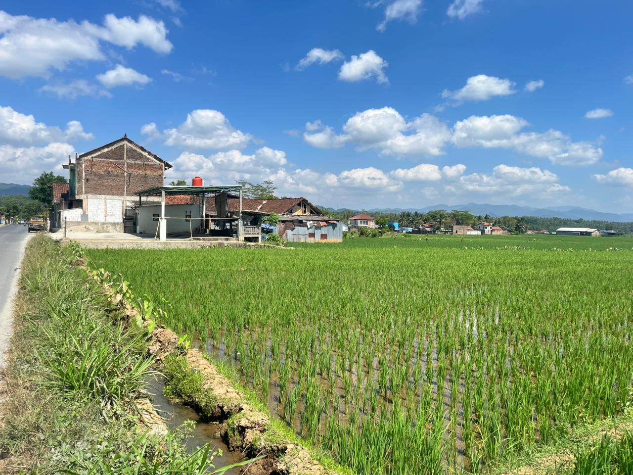 450 Hektare Sawah Berpotensi Kekeringan, Distankan Banjarnegara Perkuat Irigasi dan AUTP