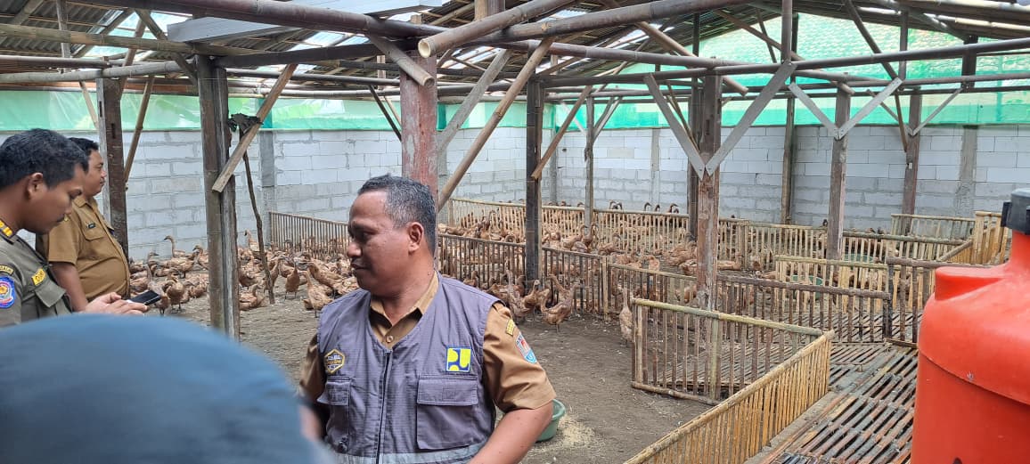 Tindaklanjuti Bau Tak Sedap dari Peternakan Bebek, Dinas Pertanian Turunkan Tim Teknis