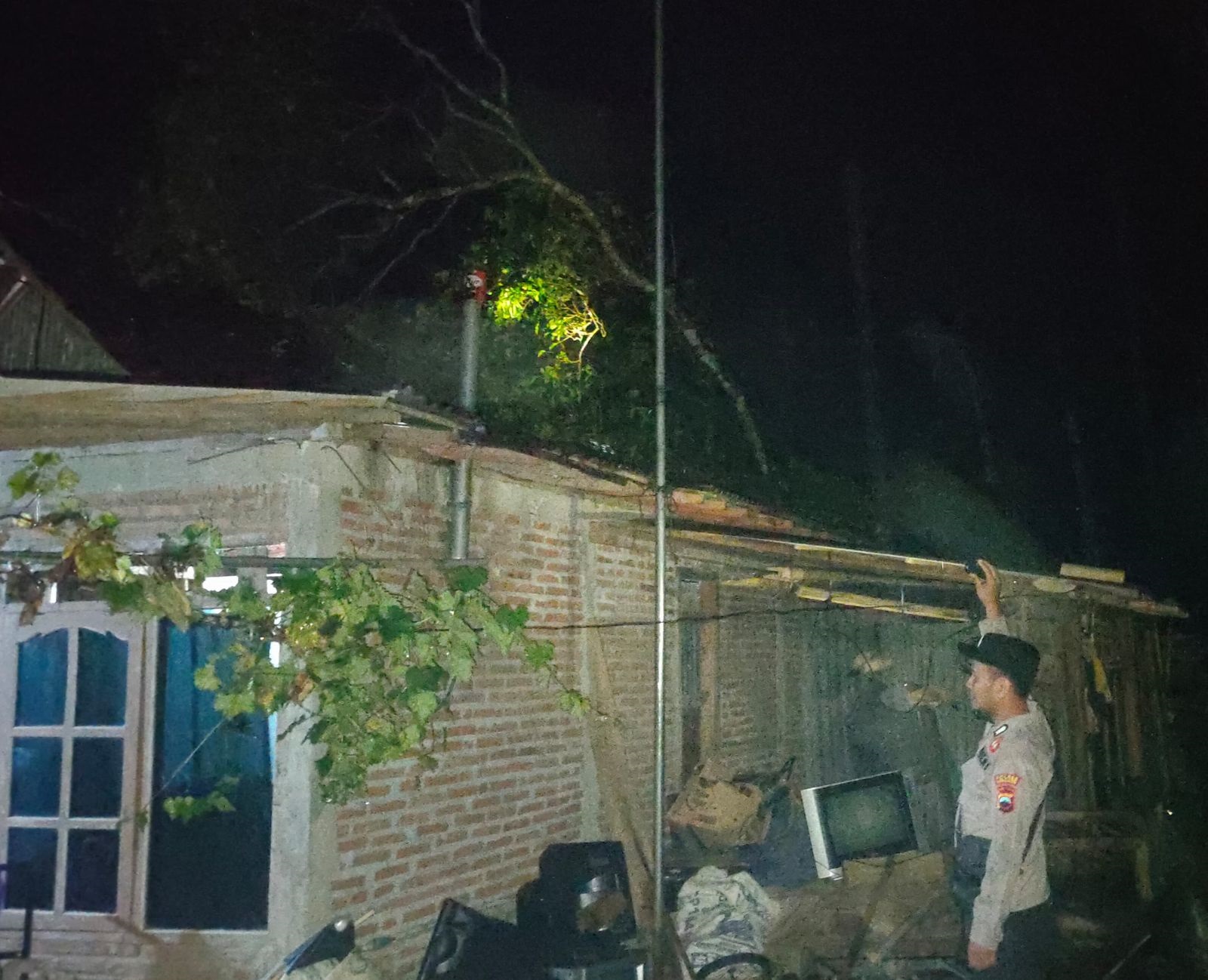 Pohon Tumbang Timpa Rumah Warga Bonorowo