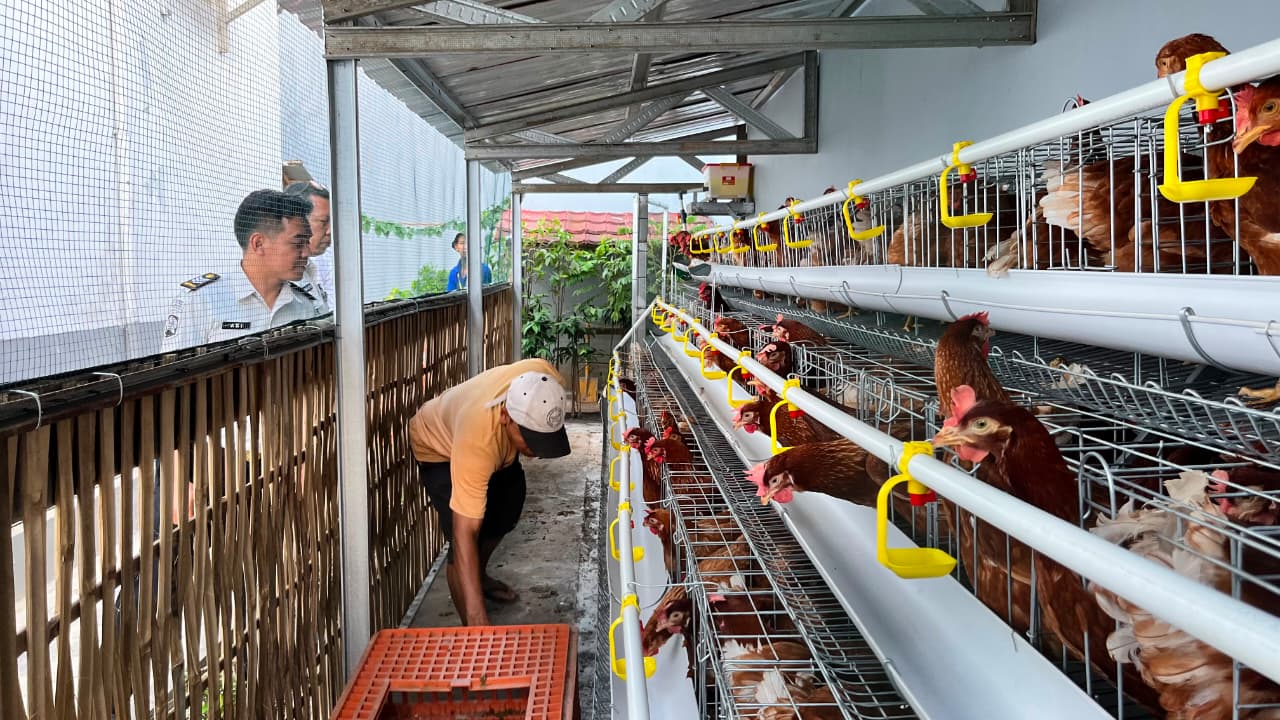 Warga Binaan Rutan Banjarnegara Budidaya Ayam Petelur, Bekal Usaha Setelah Bebas