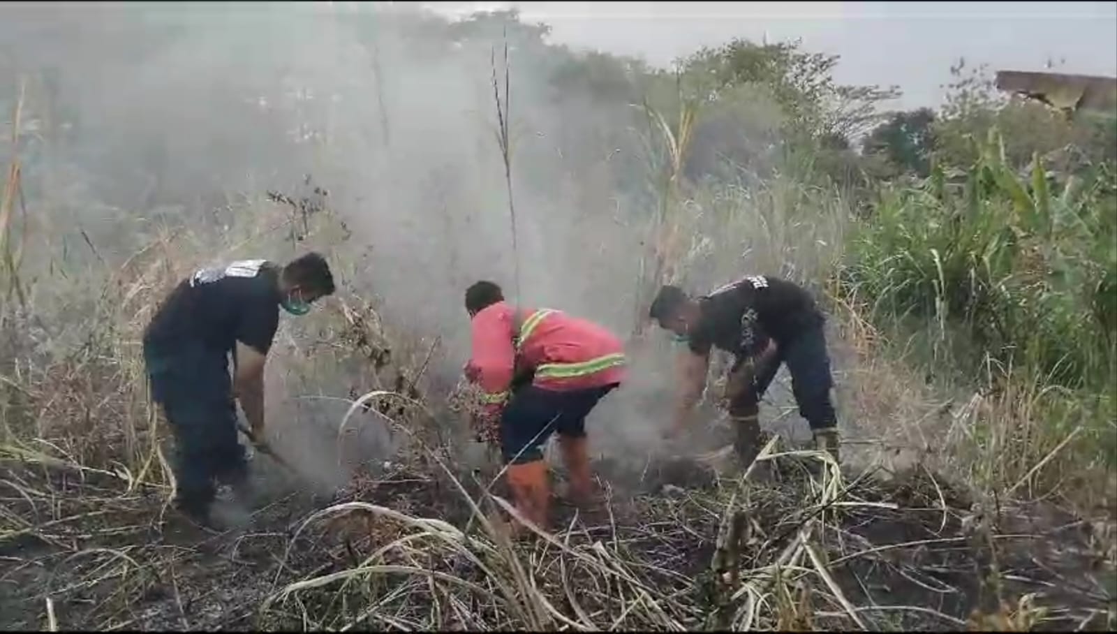 Sampai Petang Titik Api di Lahan Purbalingga Berhasil Dikendalikan, Potensi Terbakar Masih Ada