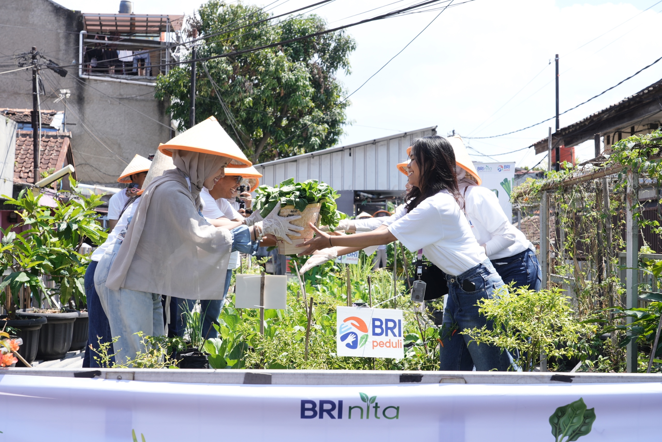 Program CSR BRI  Raih Pengakuan Global Lewat Dua Penghargaan Internasional