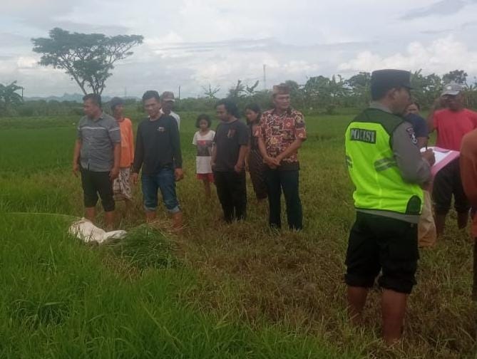 Warga Puring Ditemukan Meninggal di Sawah