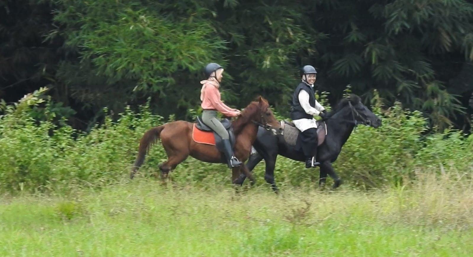 Mau Berkuda fdi Banjarnegara, Cek Lokasi Serunya Olahraga Berkuda Menelusuri Pedesaan