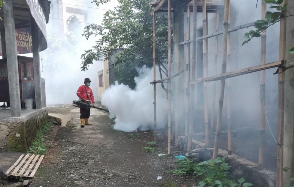 55 Kasus DBD Terjadi di Kabupaten Purbalingga Sepanjang 2025, Kematian Nihil