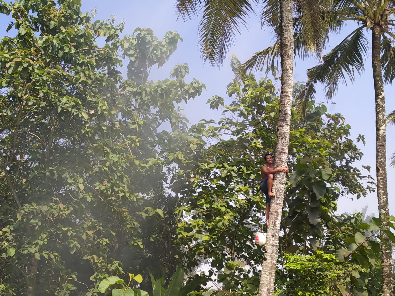 Premi Asuransi Kecelakaan Kerja Puluhan Penderes Cair Pekan Ini