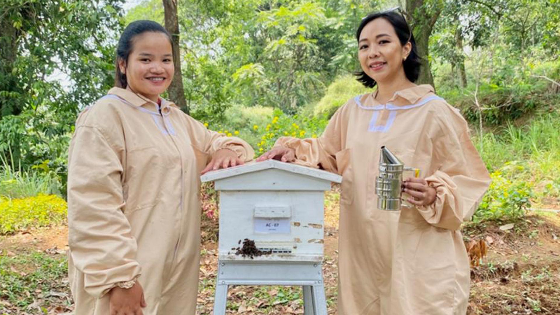 UMKM Madu Lokal Naik Kelas! Tembus Pasar Global Berkat Dukungan BRI