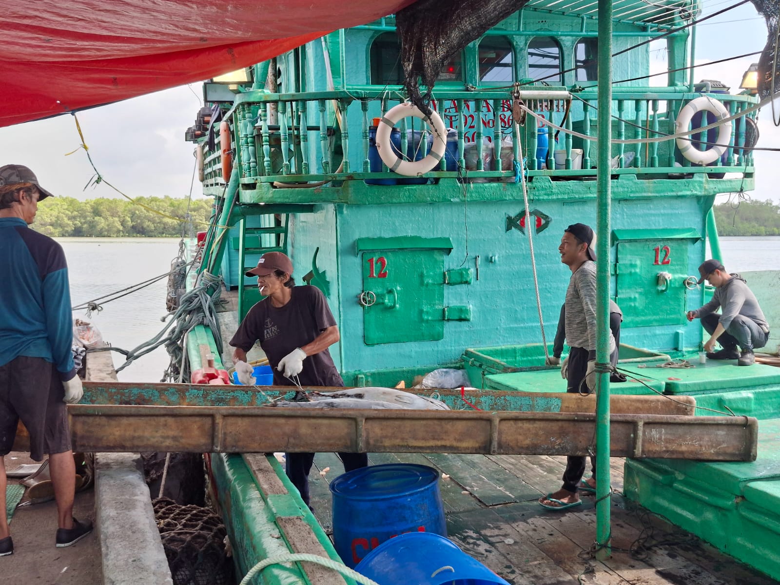 Musim Panen Ikan di Cilacap Tiba, Nilai Lelang Ikan Capai Rp30 Juta